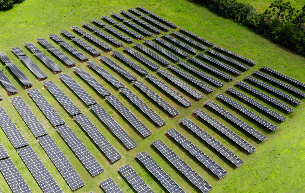 Usina solar Alexandria Indústria